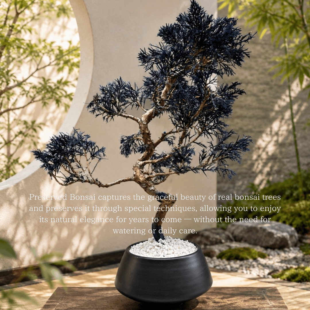 Indigo preserved bonsai in a black pot beside a round window