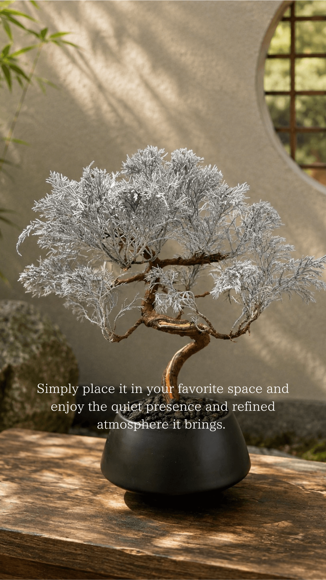 Silver preserved bonsai on a wooden table beside a round window